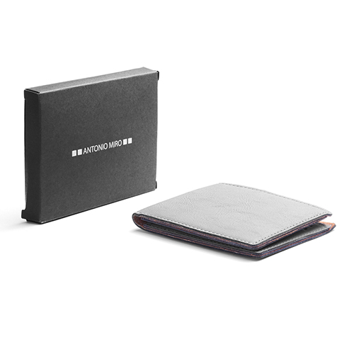 12762.jpg Cartera Sartil