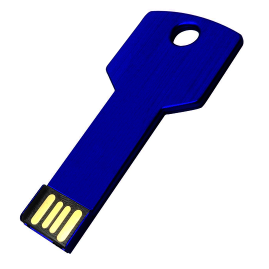 14495.jpg Pendrive AP1011
