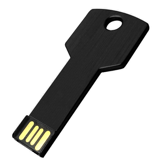 14509.jpg Pendrive AP1011