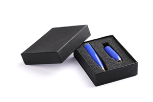 14568.jpg Pendrive AP1015