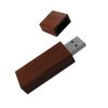 14941.jpg Pendrive AP1045