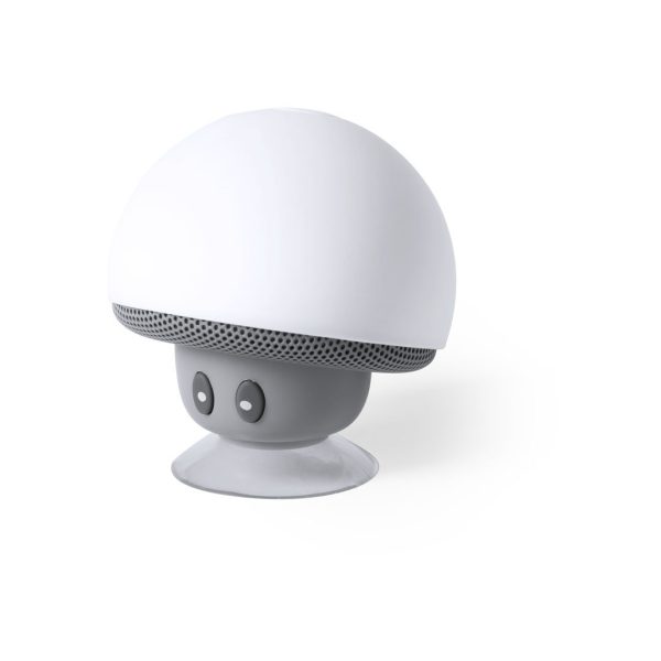 21696.jpg Altavoz Wanap