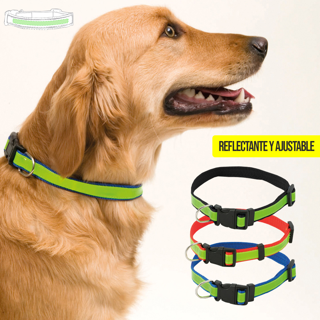 25600.jpg Collar Muttley