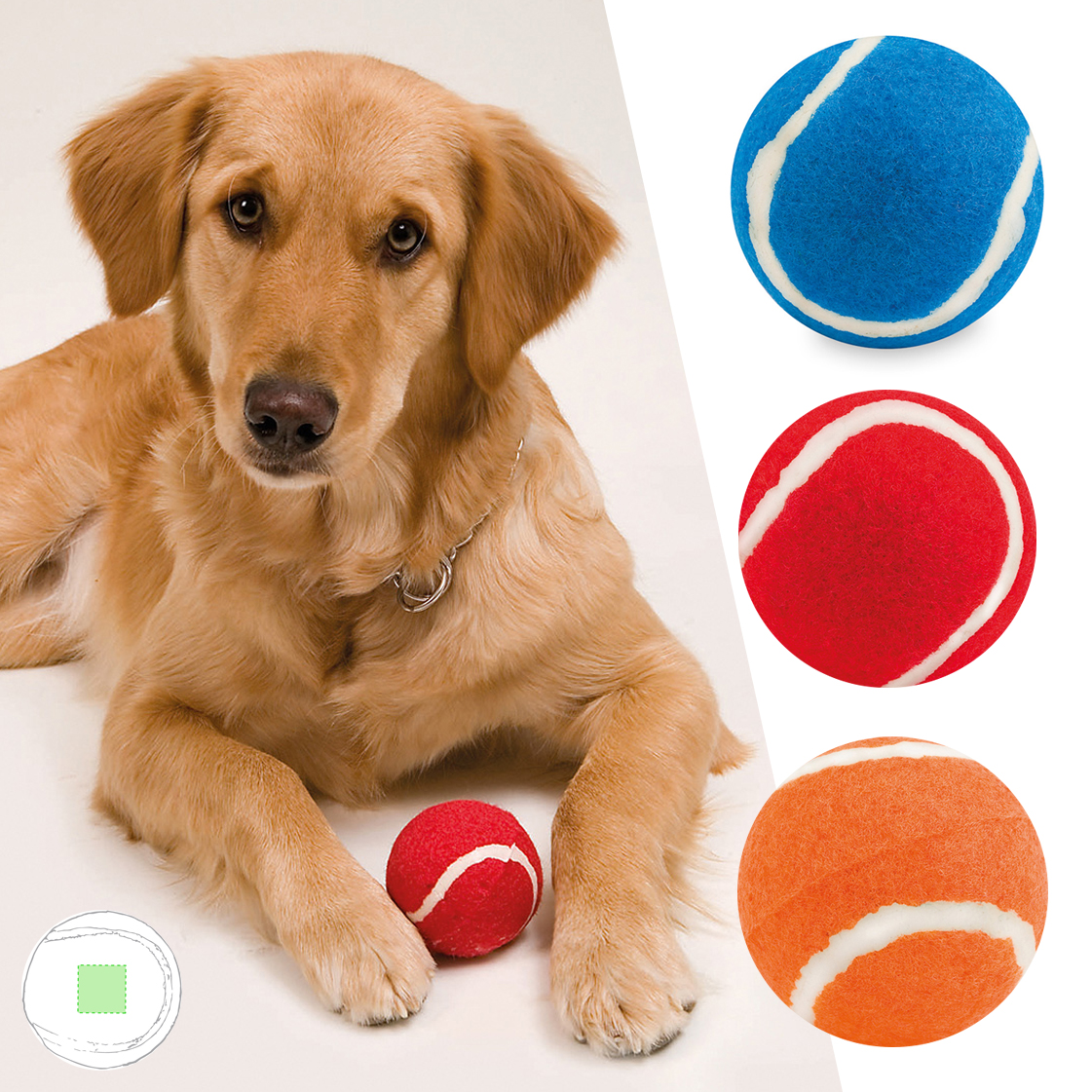 25667.jpg Pelota Niki