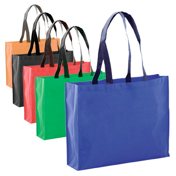 551.png Bolsa Tucson