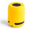 6201.jpg Altavoz Braiss