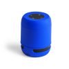 6202.jpg Altavoz Braiss