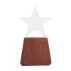 Trofeo de Madera y Cristal "Lonely Star"