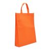Bolsa Z1