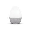 Eggy_1_gris_oscuro.jpg HUMIDIFICADOR "EGGY"