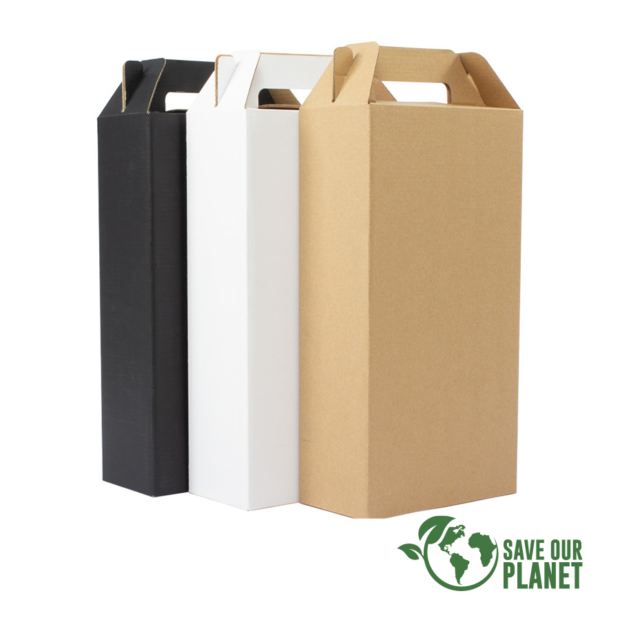 F27-SOP Caja autoarmable con asas, para 2 botellas de Vino