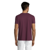vc11380146Bpng-1664209150.png Polera Regent