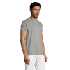 vc11380350Cpng-1664209248.png Polera Regent