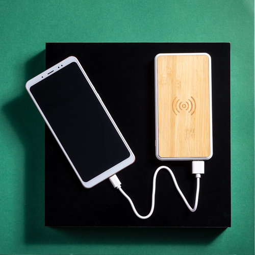 21159.jpg Power Bank Dickens