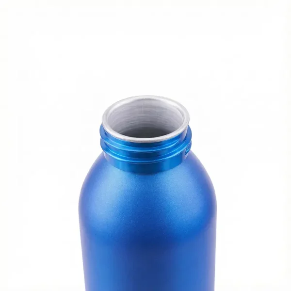 29qbbhtcm7p-1764881929 Botella Penguin