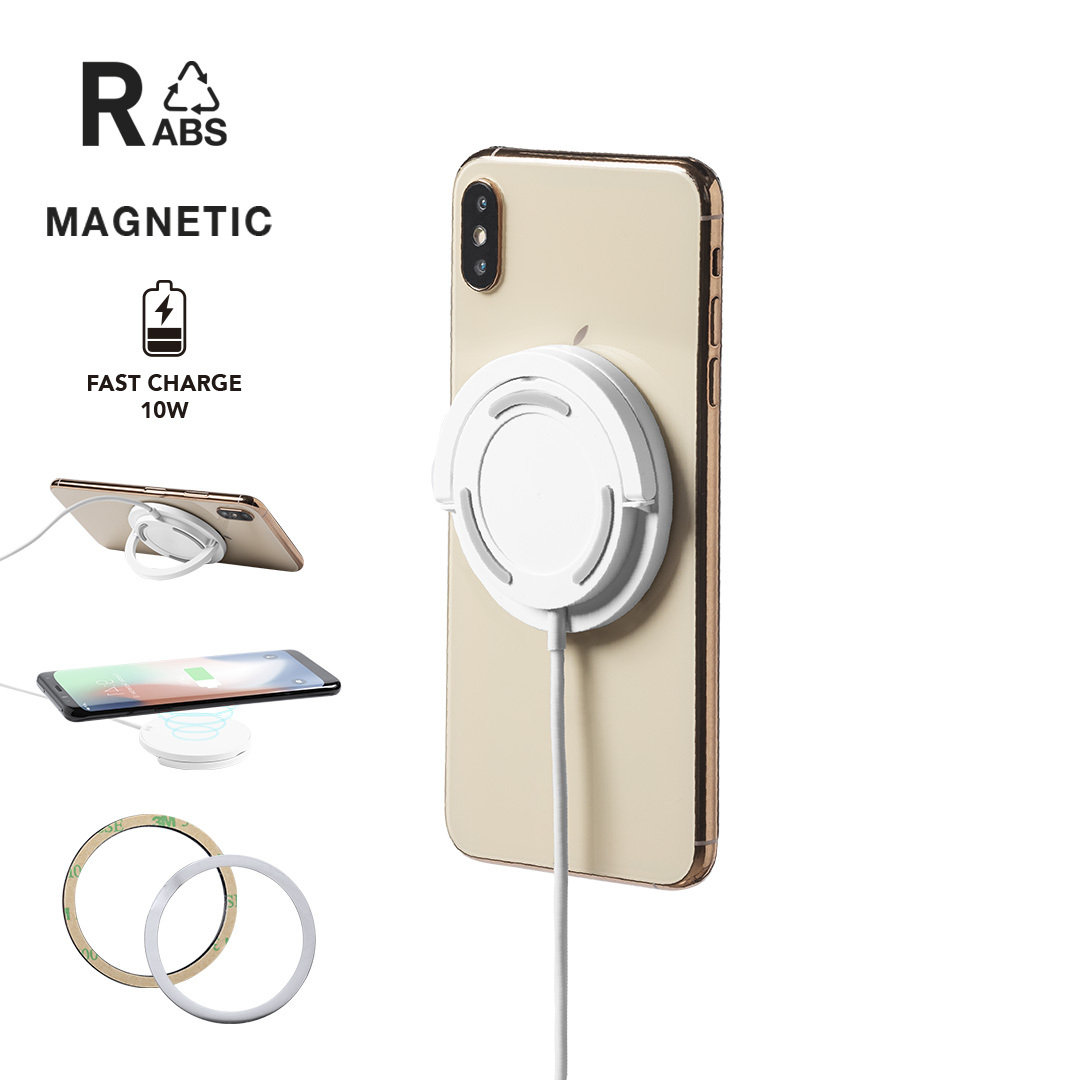 31139.jpg Cargador Dixlem RCS