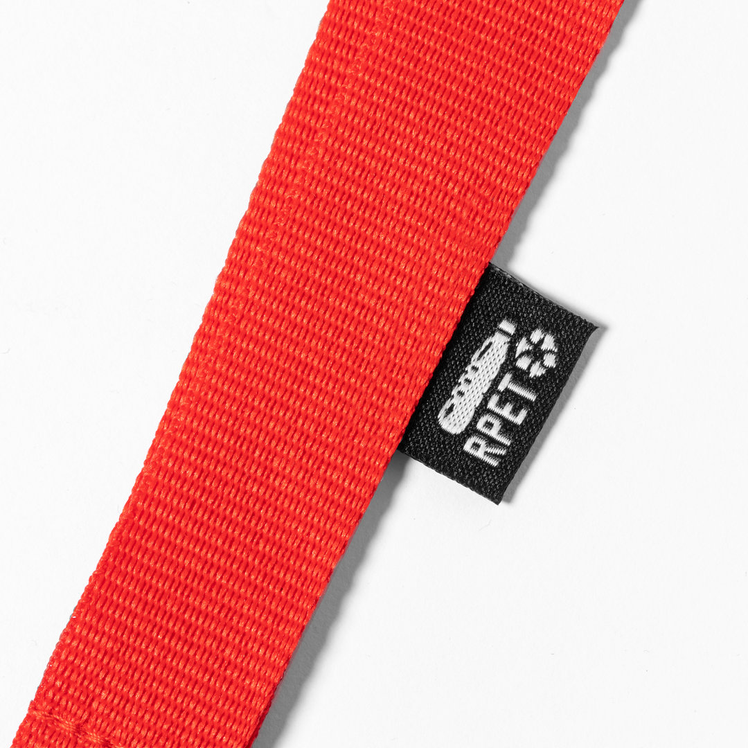 32555.jpg Lanyard Loriet