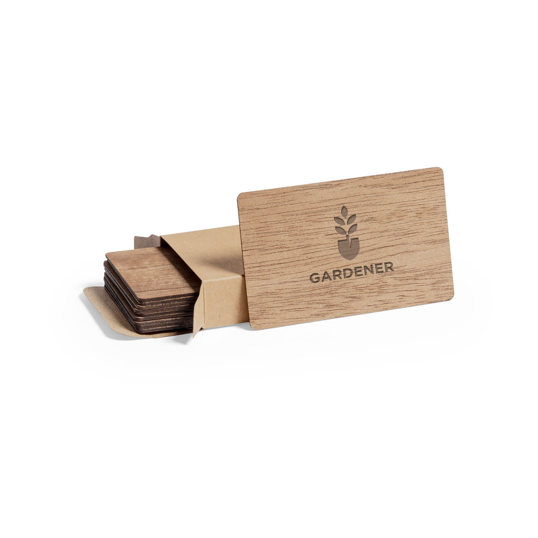 33630.jpg Set Tarjetas Inary