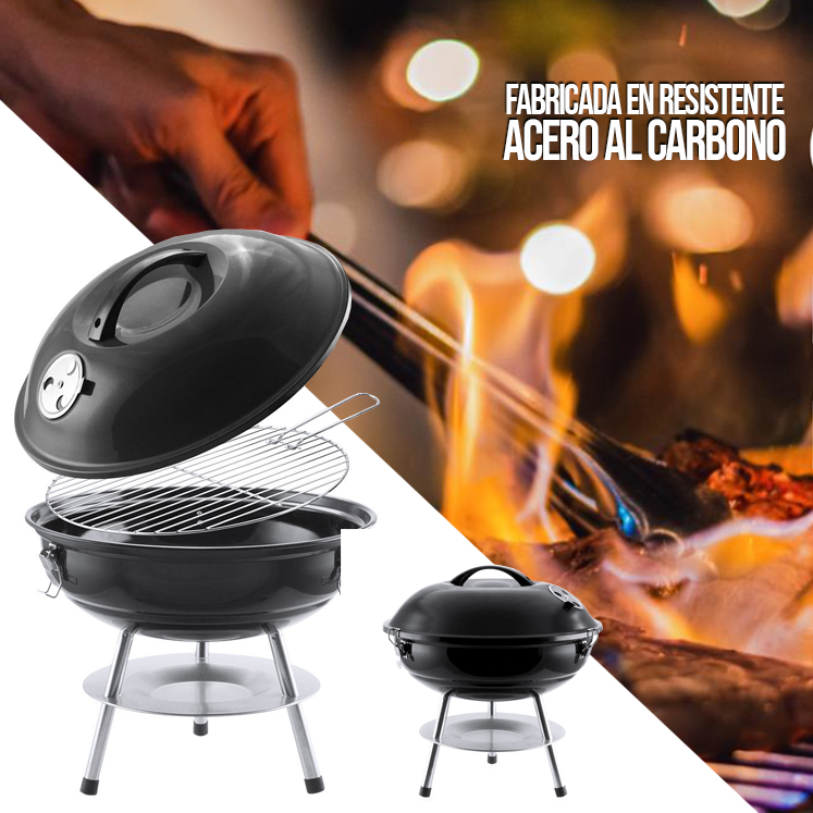 34755.jpg Barbacoa Mayrax
