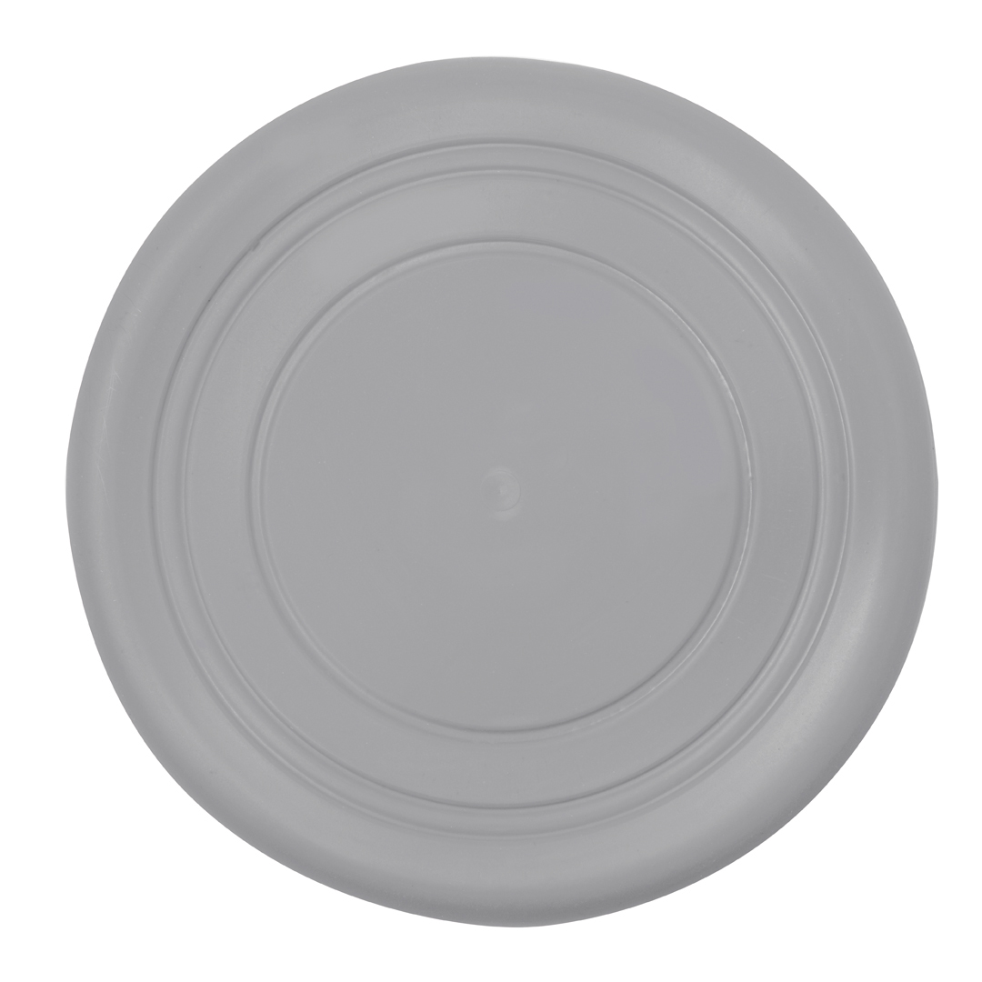 38100.jpg Frisbee Girud
