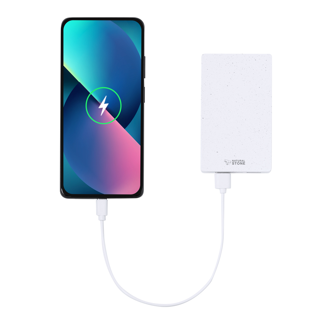42317.jpg Power Bank Noiman