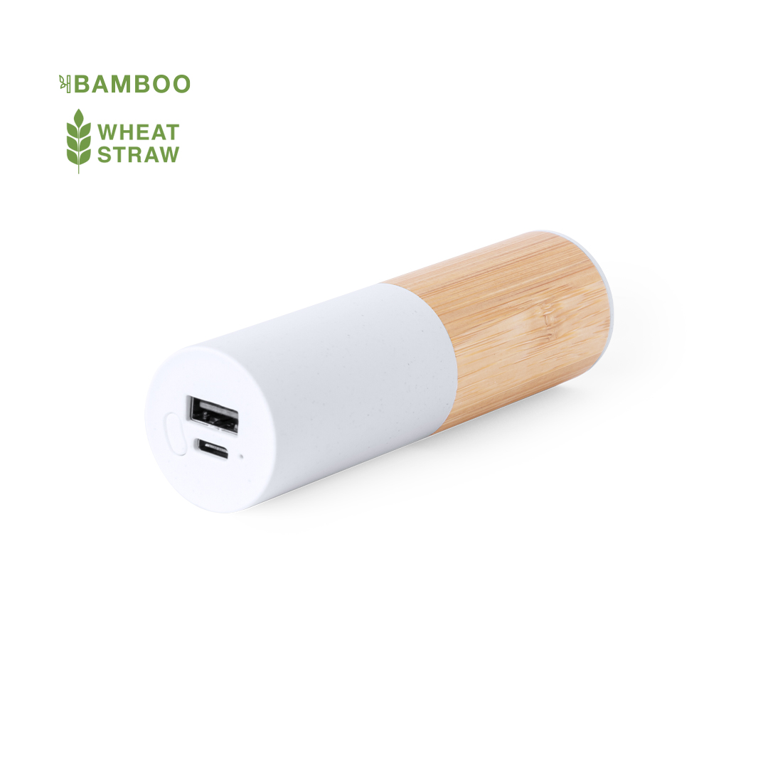 44135.jpg Power Bank Reneh