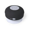 Altavoz Rariax