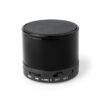 46162.jpg Altavoz Martins