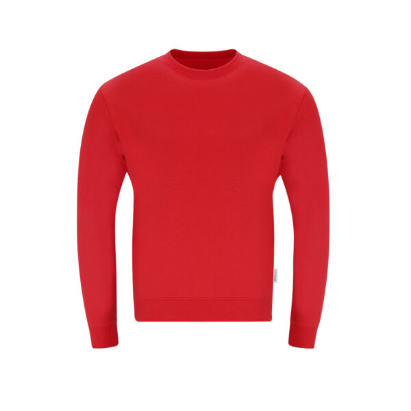 48854-1.jpg Sudadera Adulto Skelton