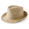 49877.jpg Sombrero Zelio