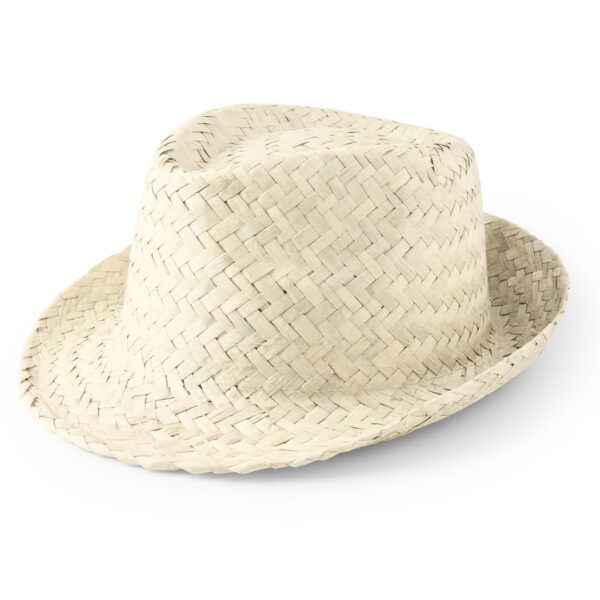 49879.jpg Sombrero Zelio