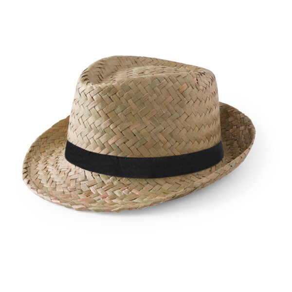 49880.jpg Sombrero Zelio