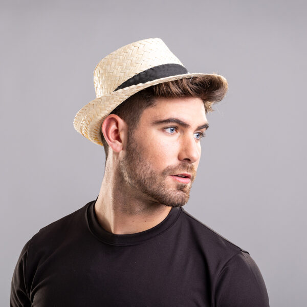 49882.jpg Sombrero Zelio