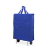 6096.jpg Carro Compra Fasty