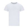 63345.jpg Camiseta Adulto Blanca Perkins