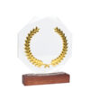 A84-11-Principal Trofeo Galvano de Madera, Cristal y Acero "Phelps"