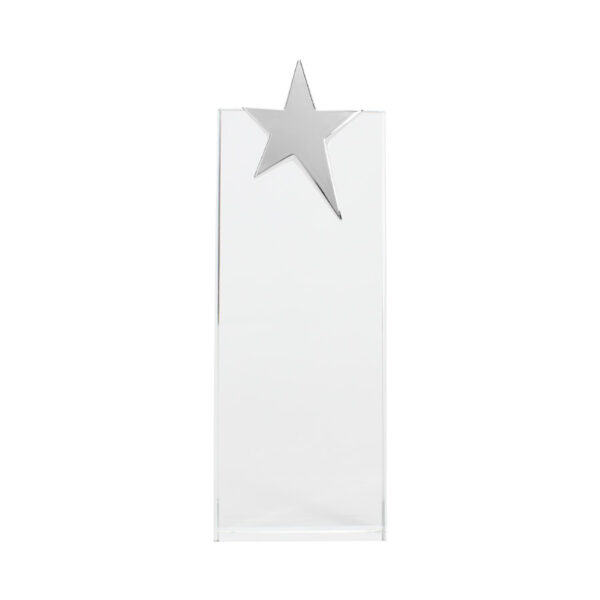 Trofeo Galvano de Cristal "Ledecky"