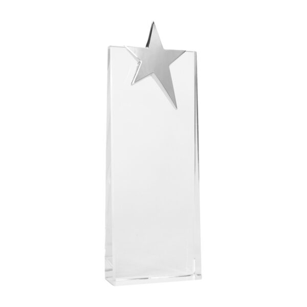 Trofeo Galvano de Cristal "Ledecky"