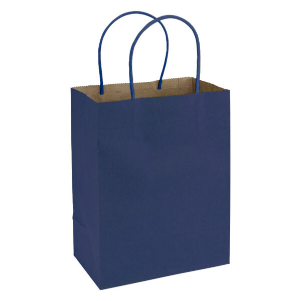 E102-06 Bolsa de Papel 120g/m2