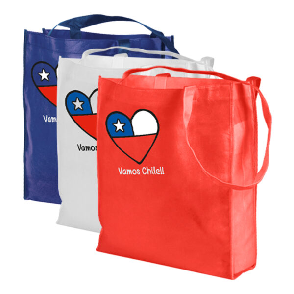 E35-principal Bolsa TNT Vamos Chile