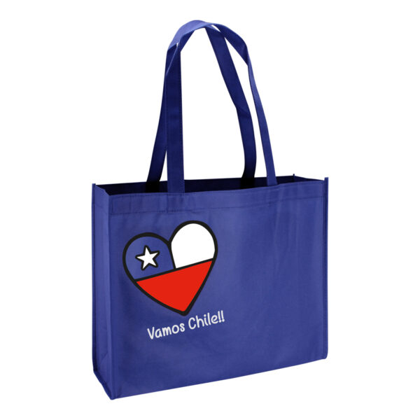 E36-azul Bolsa TNT Vamos Chile