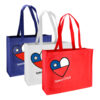 E36-principal Bolsa TNT Vamos Chile