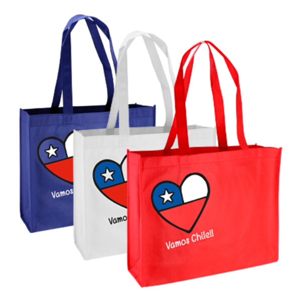E36-principal Bolsa TNT Vamos Chile
