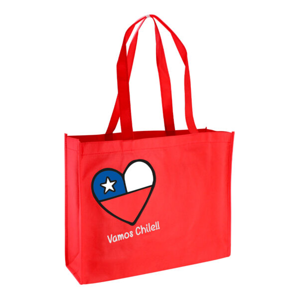 E36-rojo Bolsa TNT Vamos Chile