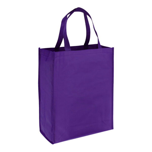 E45-25 Bolsa Reutilizable Shopper