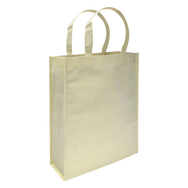 E5crema Bolsa Reutilizable Conference