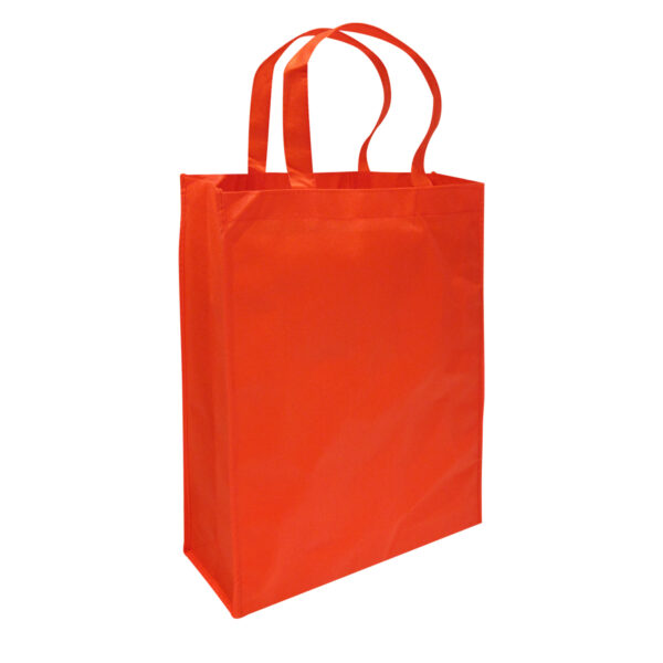 E5roja Bolsa Reutilizable Conference