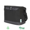 G38-03 Cooler bag RPET