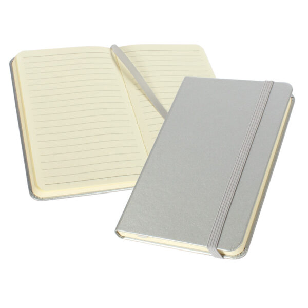 N46-plateado Cuaderno Colorskine