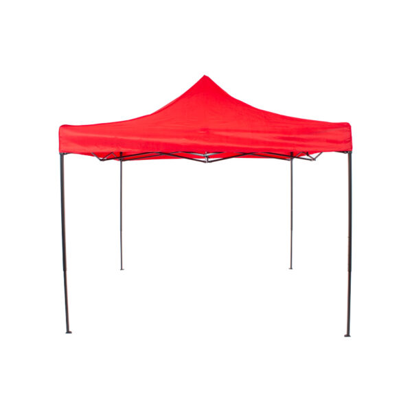P31-02 Techo toldo araña 2X2